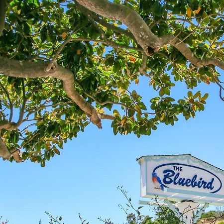 Bluebird Inn แคมบรีอา ภายนอก รูปภาพ